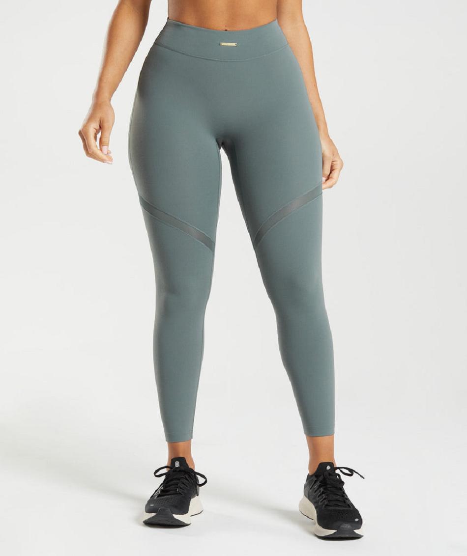 Gymshark Whitney Mesh Ženske Tajice Sive | HR 4006HAP